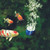 AquaOxy Air Stone AquaOxy Air Stone