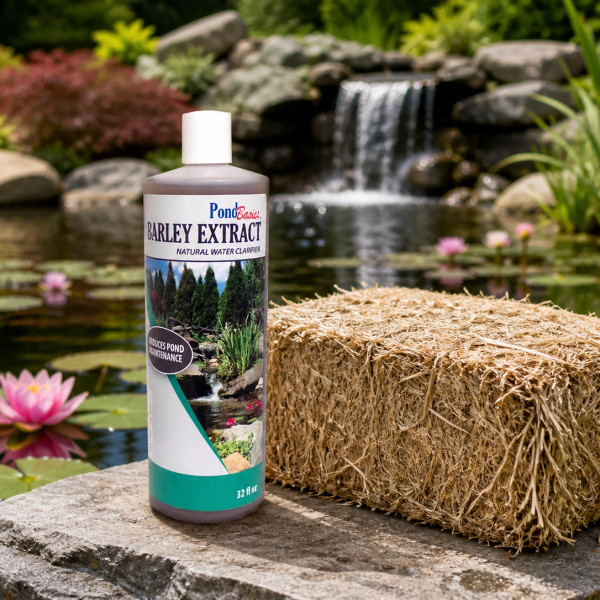 Pond Basics Barley Extract