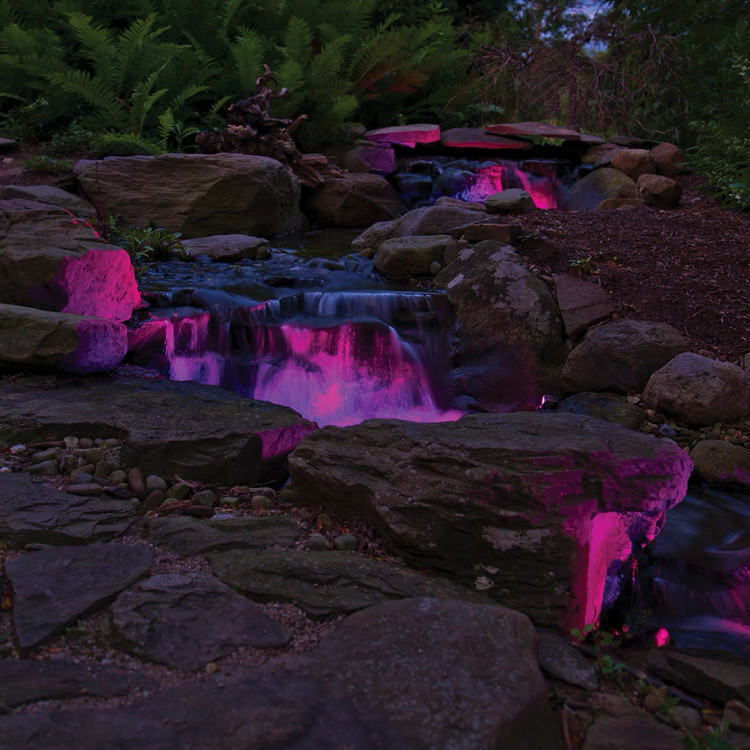 Atlantic Ring Lights - Thumbnail 2