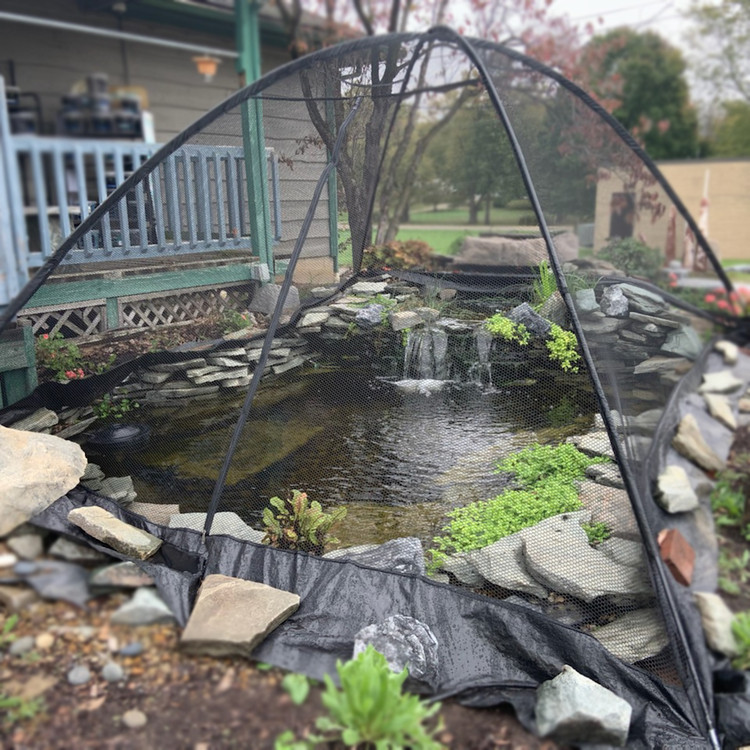 Pond Netting: Deluxe Pond Cover Tent