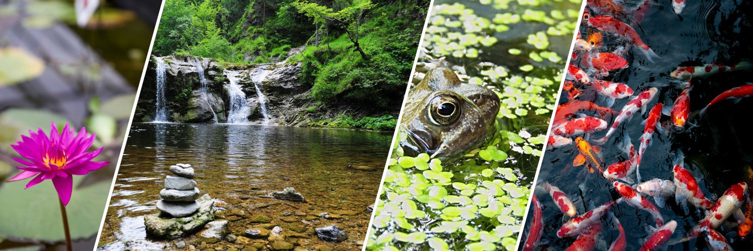 Hoffman's Water X Scapes Pond Supplies Online