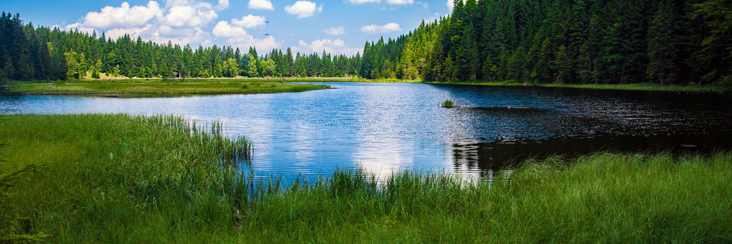 Control Lake Weeds