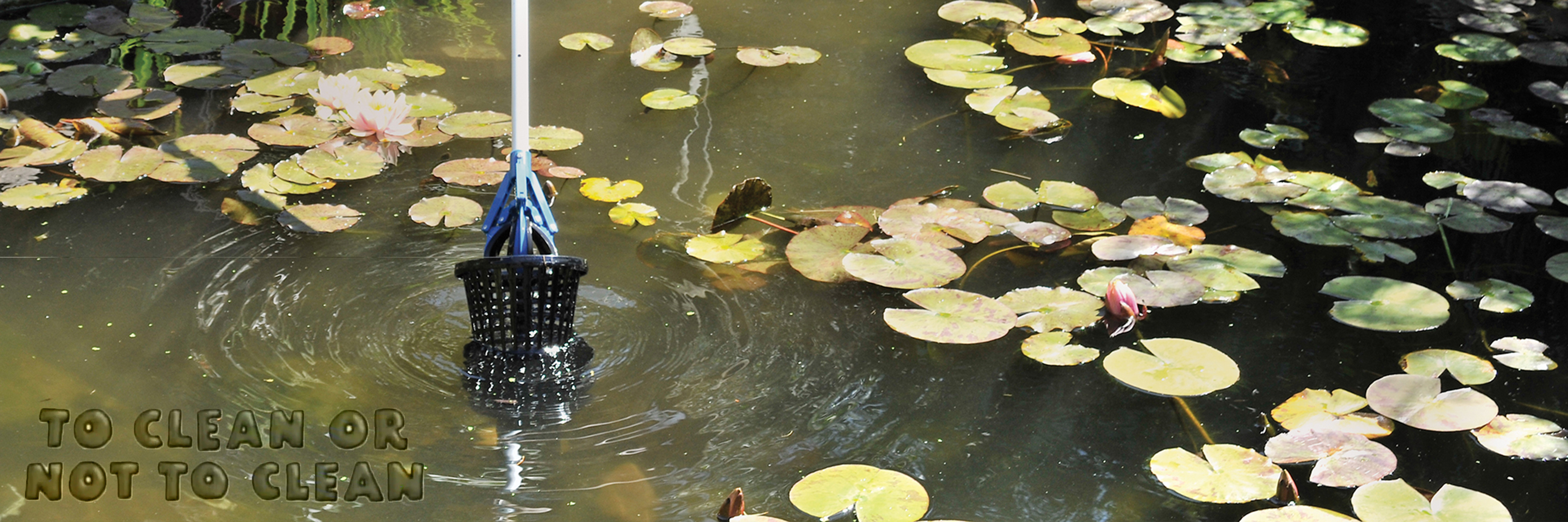 Pond Cleaning versus Changing Water Pond Cleaning versus Changing Water