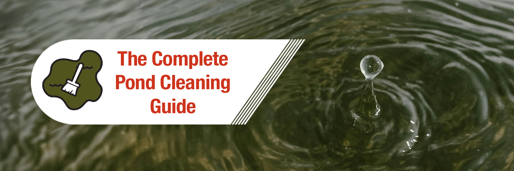 How To Clean A Pond: The Complete Pond Cleaning Guide - Water X Scapes