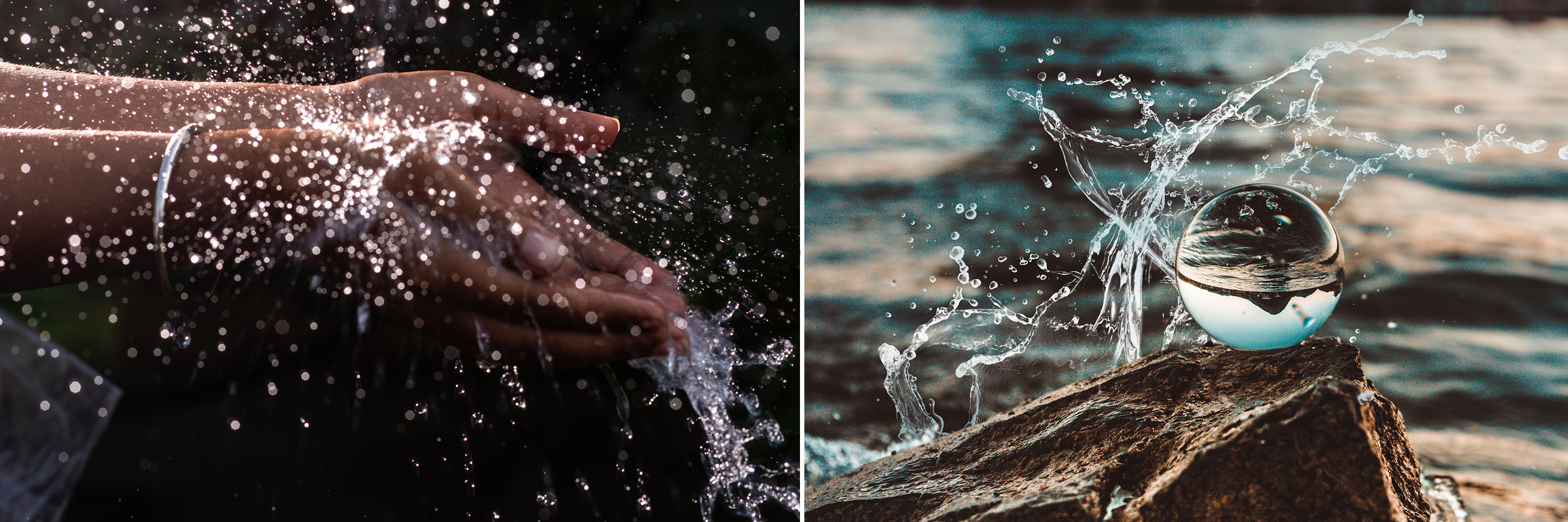 Promote Healing with Water Gardening Promote Healing with Water Gardening