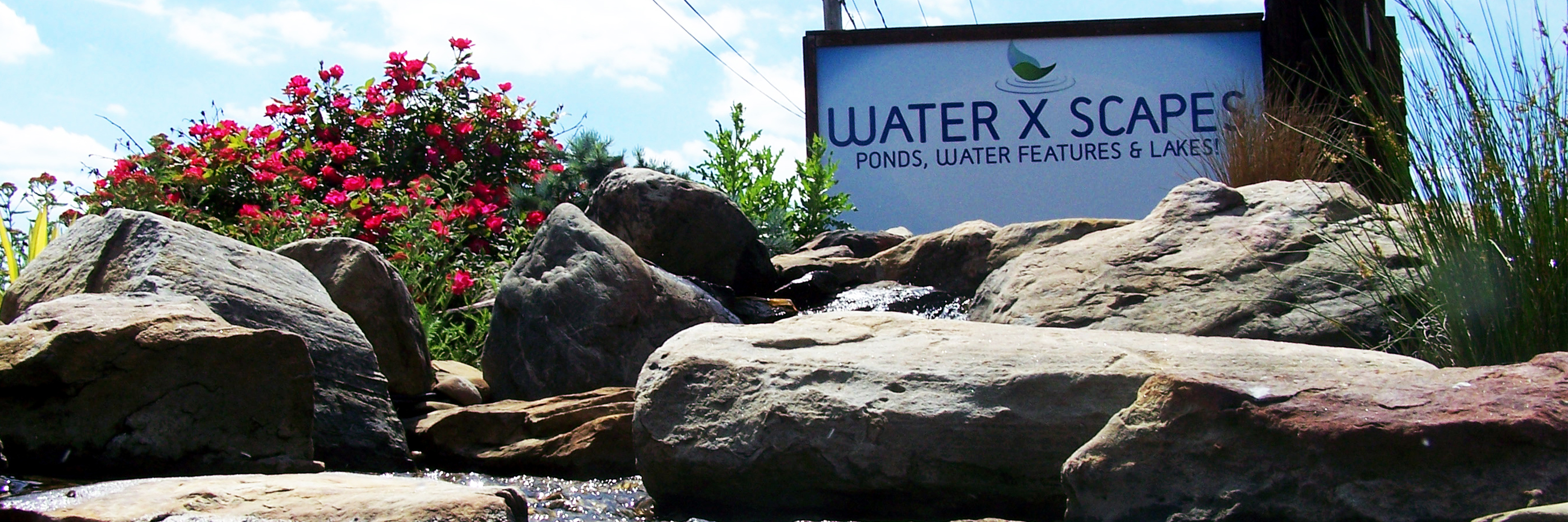 Hoffman's Water X Scapes is More than Meets the Eye