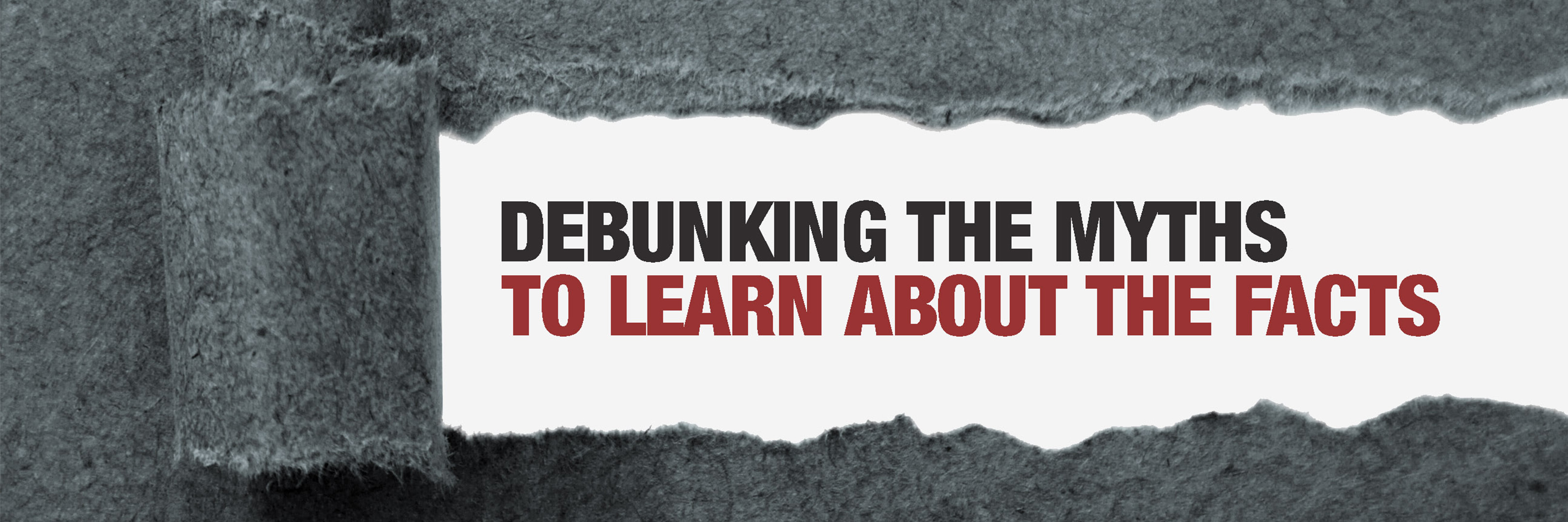 De-bunking Some Water Garden & Pond Myths De-bunking Some Water Garden & Pond Myths