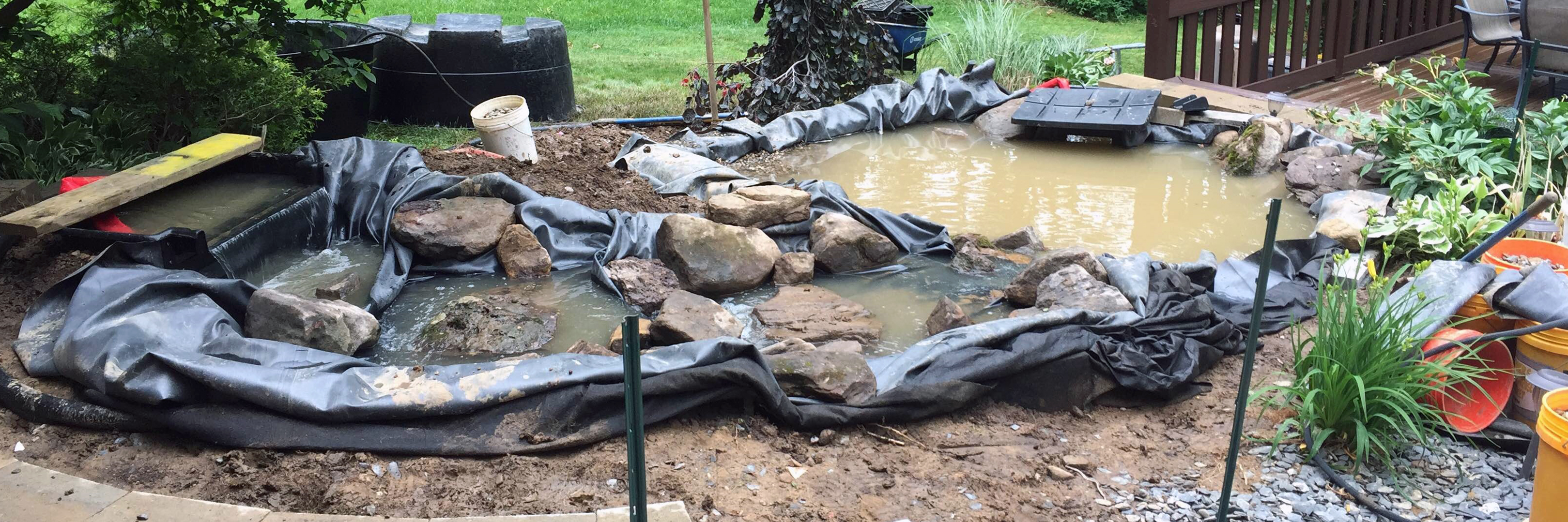 Pond Start Up - First Steps  Pond Start Up - First Steps