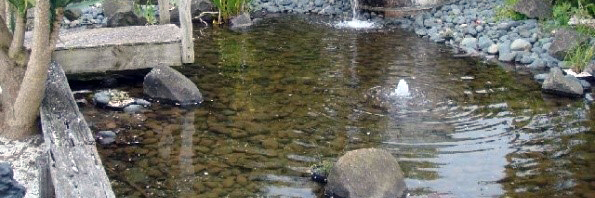 Spring Pond Opening Guide Spring Pond Opening Guide