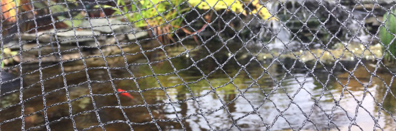 Pond Winterization Preparation: A Checklist Pond Winterization Preparation: A Checklist