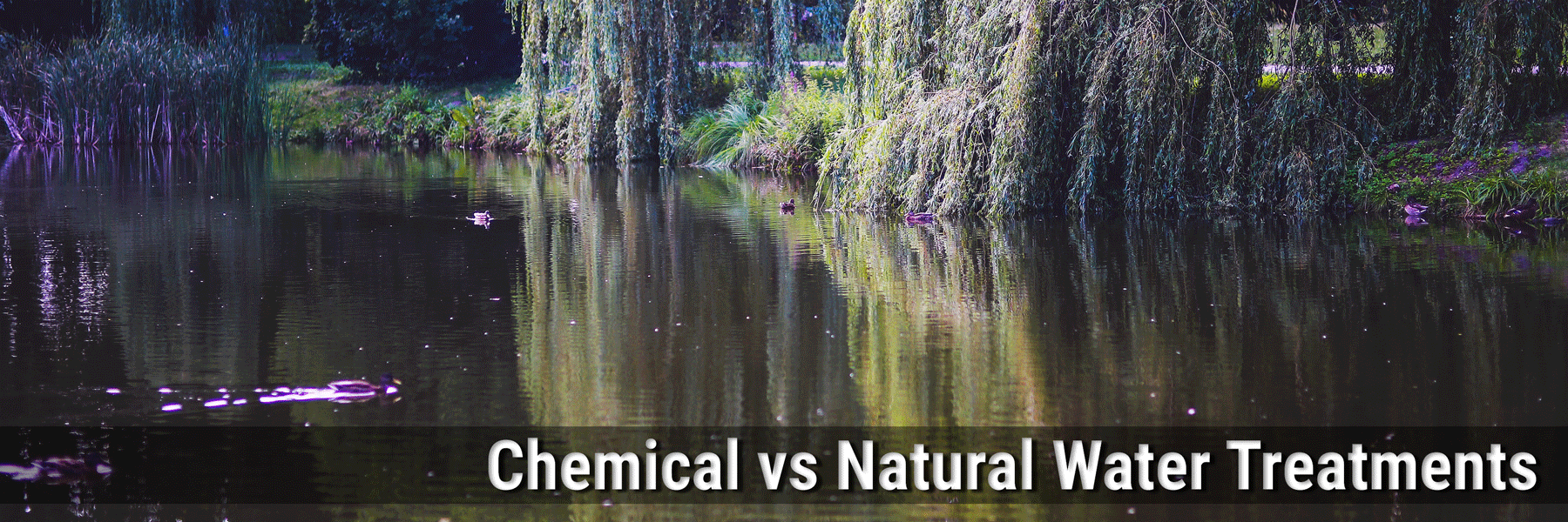 Chemical vs. Natural Water Treatments