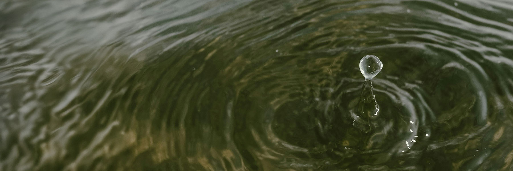 How To Clean A Pond: The Complete Pond Cleaning Guide