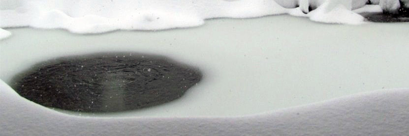 Why Pond Aeration Is Important For Fish Why Pond Aeration Is Important For Fish