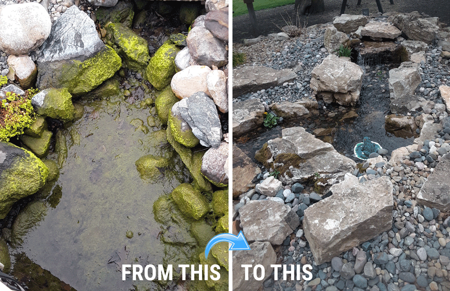 before and after a pond cleaning