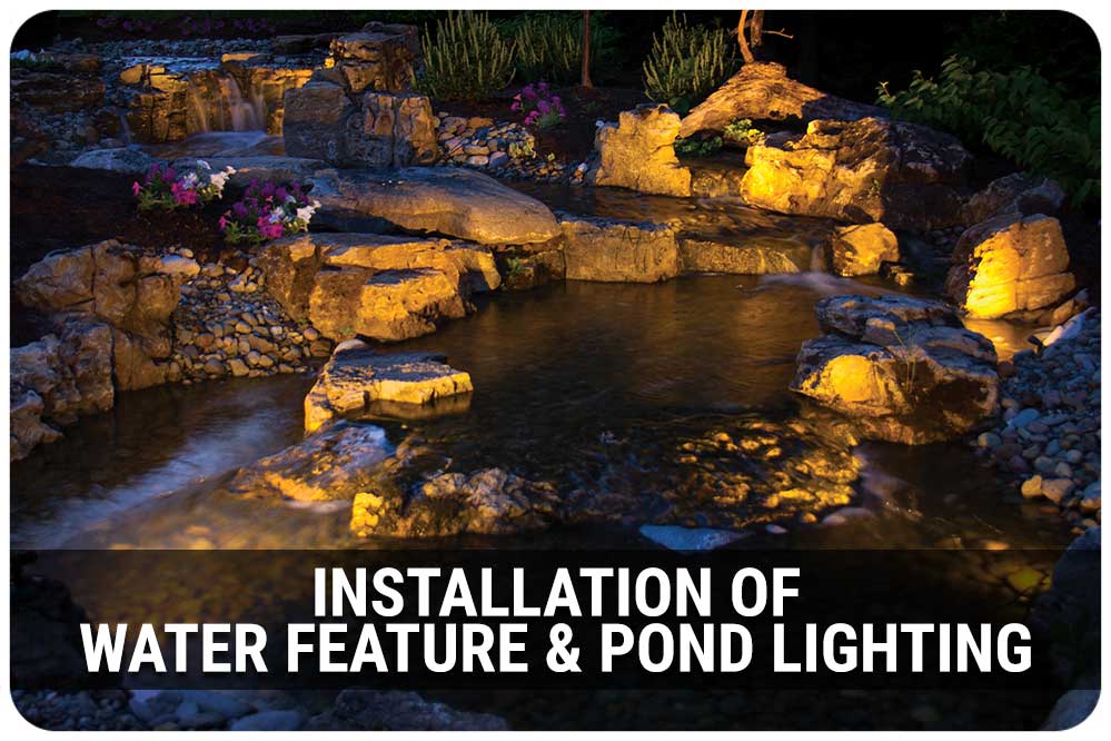 Learn the components of backyard ponds and water gardens.