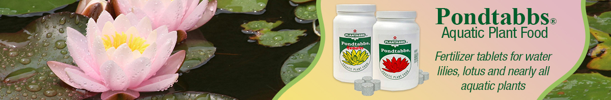Pondtabbs Aquatic Plant Food