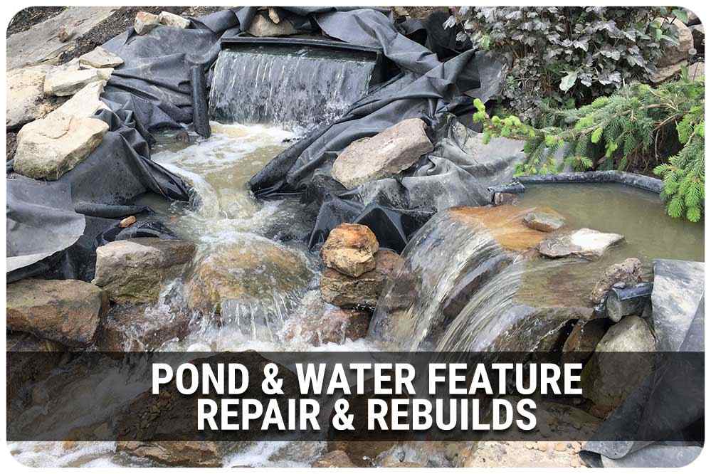 Learn the components of backyard ponds and water gardens.