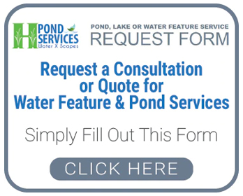 Request a consultation, or quote, for water feature or pond services from Water X Scapes here online - 