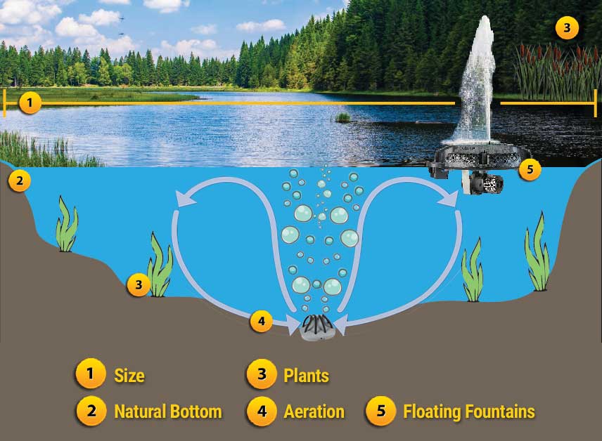 Components of an Earthen Bottom Pond