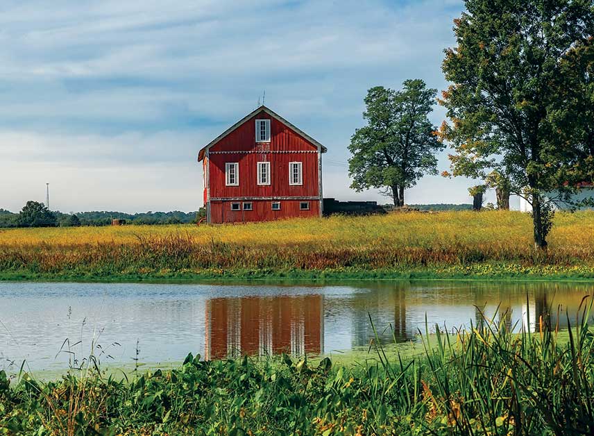 Farm Pond