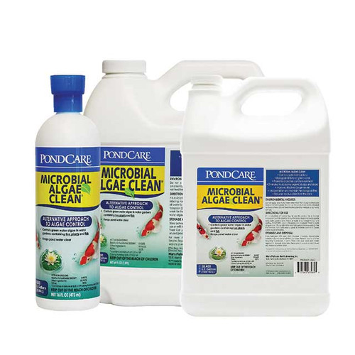 Microbial Algae Clean Bacterial Algaecide Pond Algae Control
