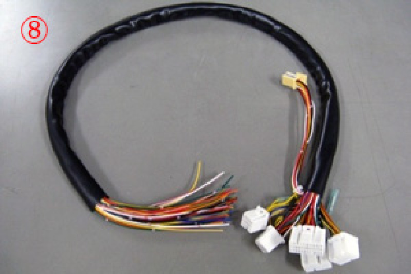 HKS TP5 - 9F - CON V Harness - 4202-RT030