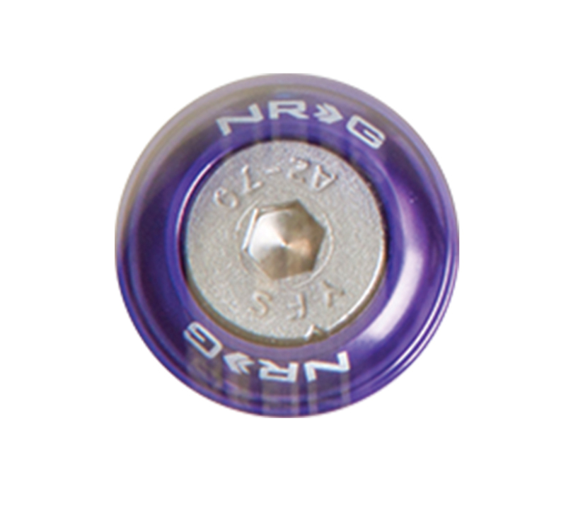 NRG Fender Washer Kit w/Rivets For Metal (Purple) - Set of 10 - FW-110PP