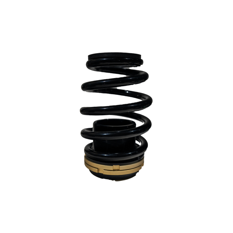 BLOX Racing 12-13 Honda Civic SI Plus Series Fully Adjustable Coilovers - BXSS-00120