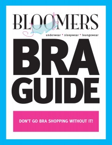 bra-guide-cover-copy-231x300.jpg