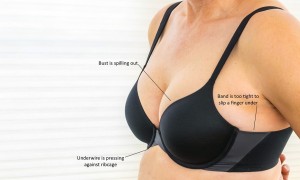 Bloomers - Not sure if you are wearing the right size bra? Check your band!  If your bra is too small or too large, we can help you with the perfect  fit! . . . #