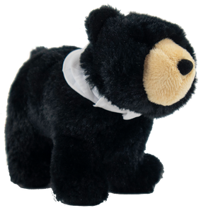 Stuffed black bear wearing a white necker with Summit Bear/Paw logo.  Measures 9" x 6" x 3".