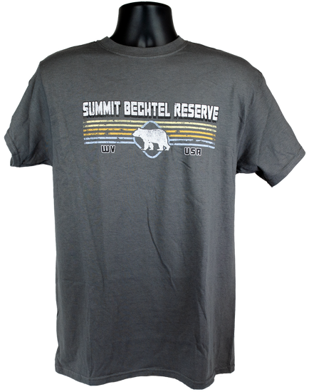 Dark Gray cotton tee with white "Summit Bechtel Reserve" lettering above white bear shape overlayed on 4 horizontal colored lines, centered on chest