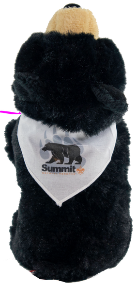 Stuffed black bear wearing a white necker with Summit Bear/Paw logo.  Measures 9" x 6" x 3".