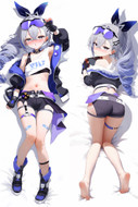 Silver Wolf (Honkai Star Rail) Dakimakura Body Pillow Cover