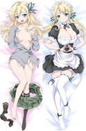 Sena Kashiwazaki from Haganai dakimakura cover