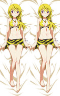 Charlotte Dunois from Infinite Stratos dakimakura cover