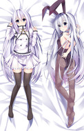 Terminus Est from Blade Dance of the Elementalers dakimakura cover