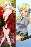 Sena Kashiwazaki from Haganai dakimakura cover