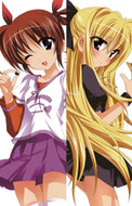 Fate and Nanoha from Magical Girl Lyrical Nanoha dakimakura cover