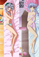 Teletha Testarossa from Full Metal Panic dakimakura cover