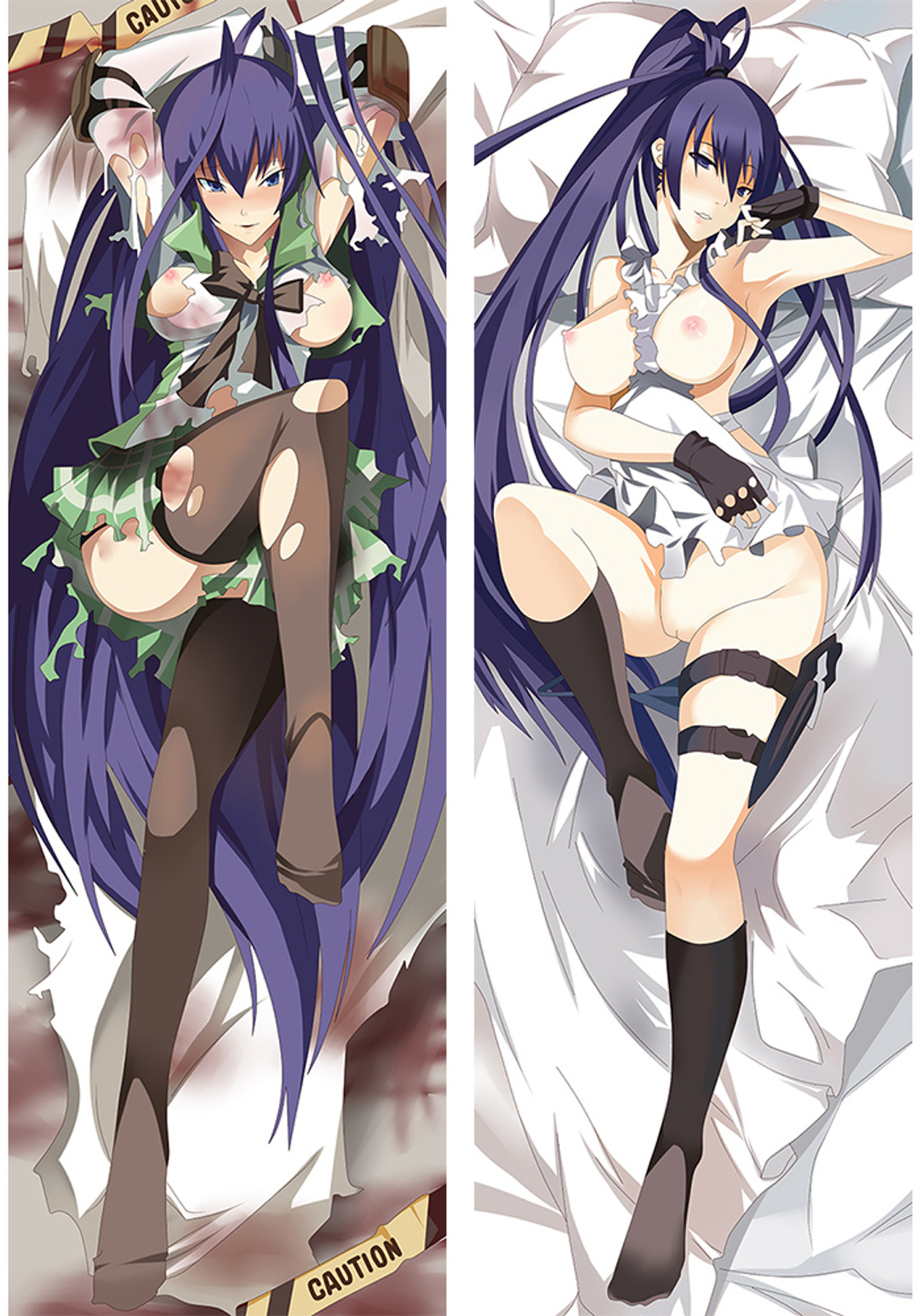 Saeko Busujima from Highschool Of the Dead 18+ Uncensored dakimakura cover