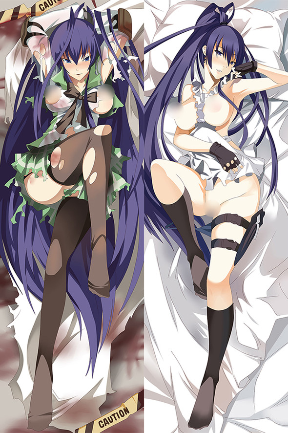 Saeko Busujima from Highschool Of the Dead 18+ dakimakura cover