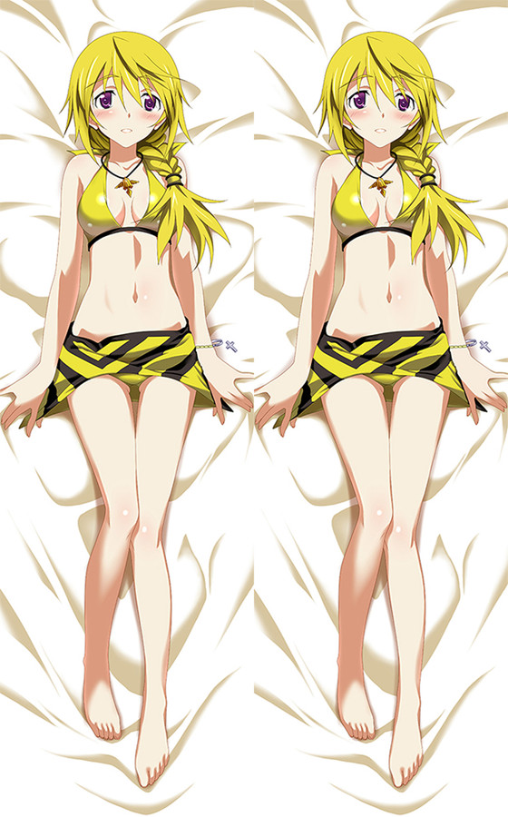 Charlotte Dunois from Infinite Stratos dakimakura cover Charlotte Dunois from Infinite Stratos dakimakura cover