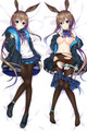 Amiya (Arknights) 18+ NSFW Dakimakura Body Pillow Cover