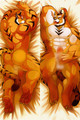 Furry 18+ NSFW Dakimakura Body Pillow Cover