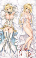 Nero Claudius 18+ NSFW Dakimakura Body Pillow Cover
