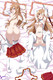 Asuna Yuuki (Sword Art Online) 18+ NSFW Dakimakura Body Pillow Cover Uncensored