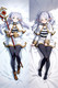 Frieren (Frieren Beyond Journey's End) Dakimakura Body Pillow Cover