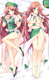 Hong Meiling (Touhou Project) 18+ NSFW Dakimakura Body Pillow Cover