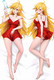 Panty Anarchy (Panty and Stocking with Garterbelt) Dakimakura Body Pillow Cover